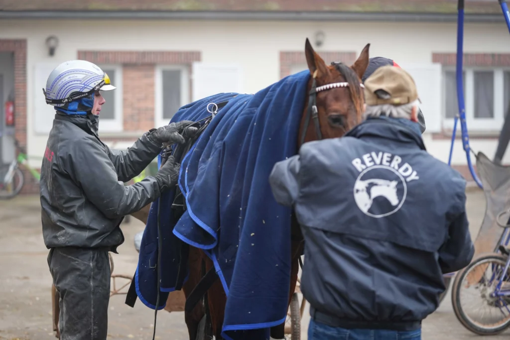 cheval écurie avec lad drivers