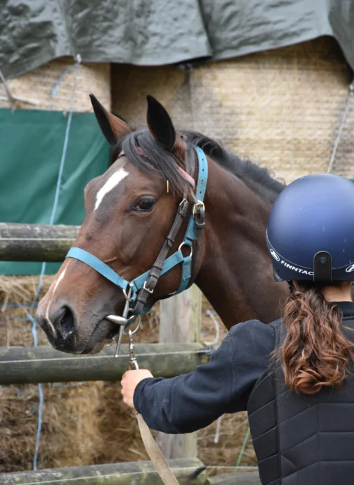 cheval et élève longe