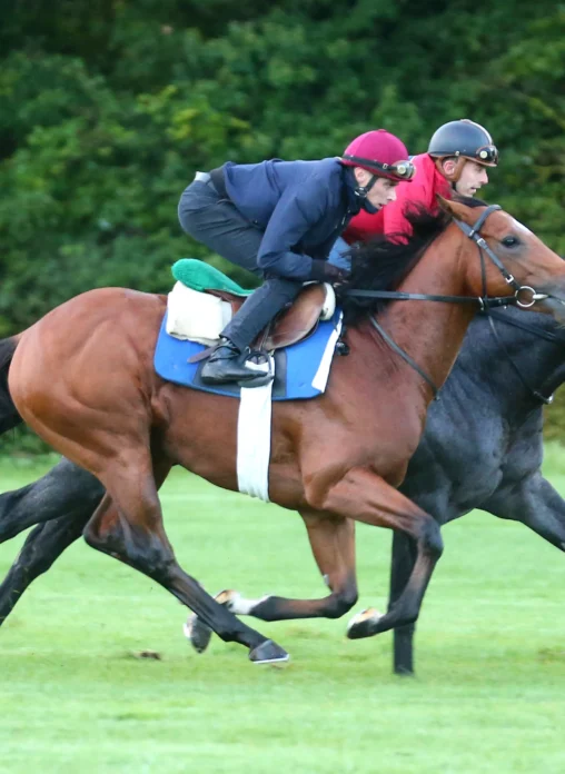 chevaux au galop piste entrainement avec cavaliers