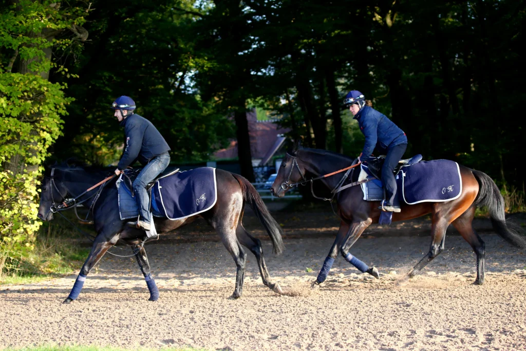 chevaux et cavaliers sur piste entrainement