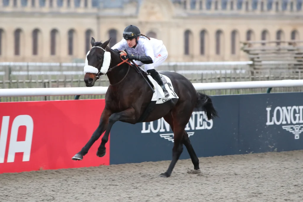 cheval et jockey espoirs en courses course hippique
