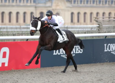 cheval et jockey espoirs en courses course hippique