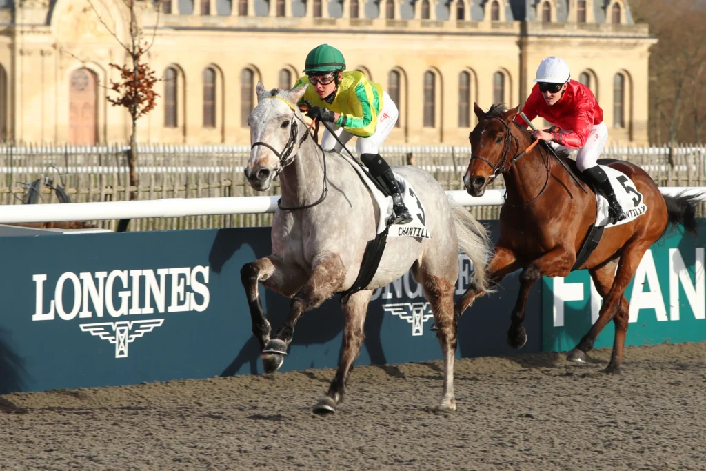 chevaux et jockeys espoirs en courses course hippique