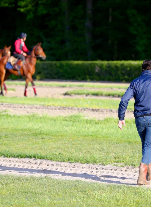 entraineur courses hippiques et chevaux piste