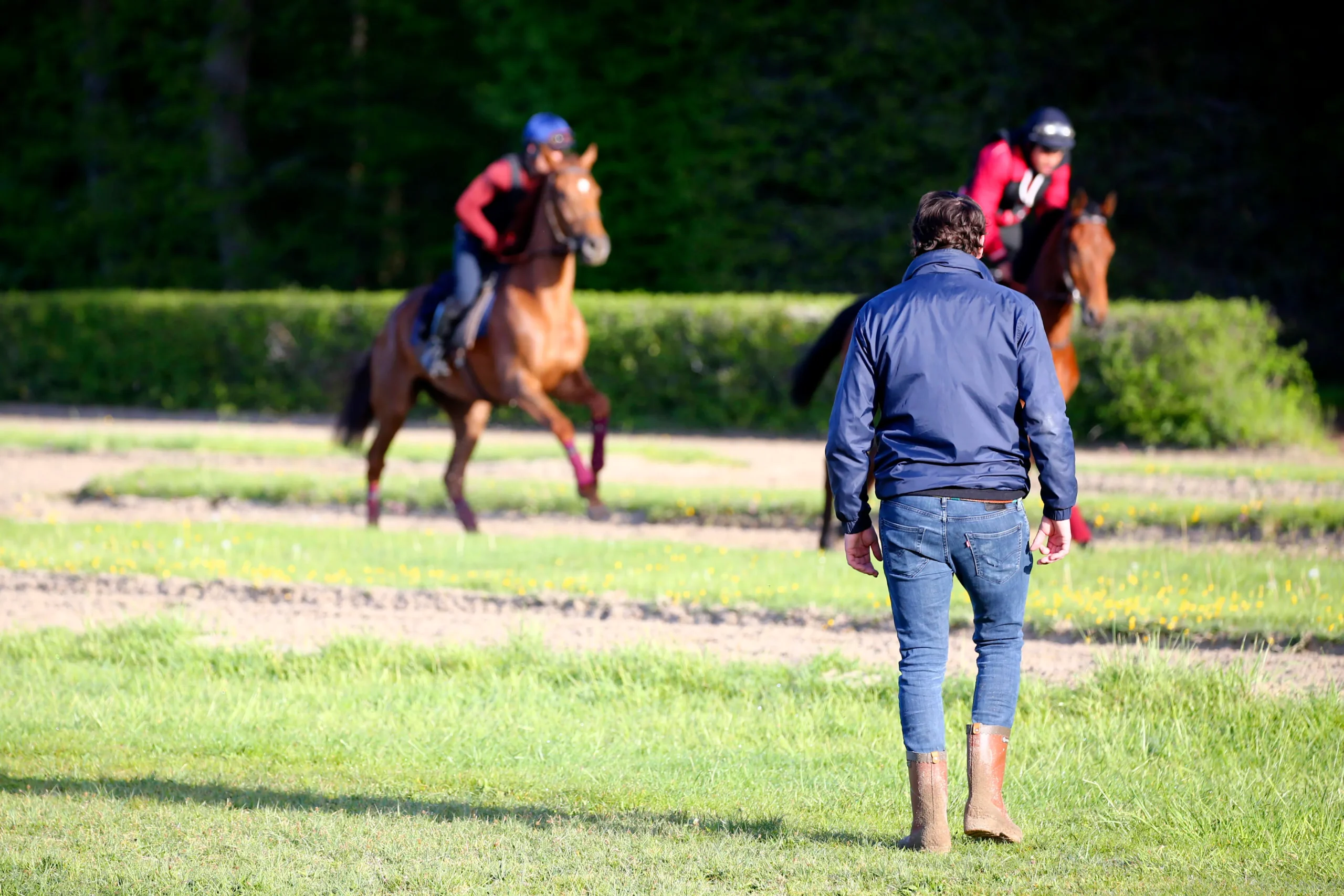 entraineur et chevaux au galop piste entrainement