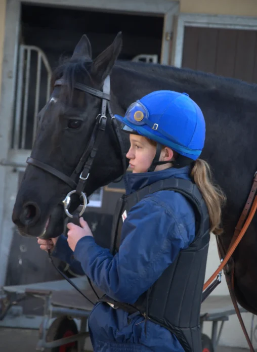 harnachement cheval et élève