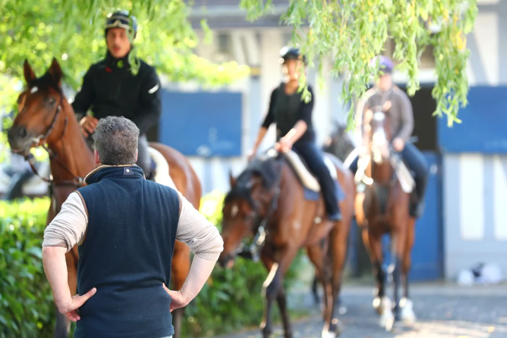 manager Ecurie entrainement avec chevaux et cavaliers