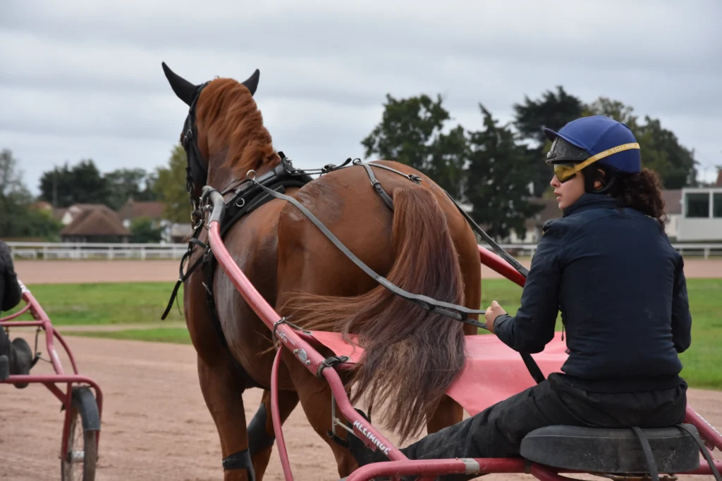 sulky et cheval entrainement lad driver