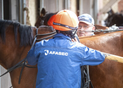Jeunes Etudiants AFASEC Cheval