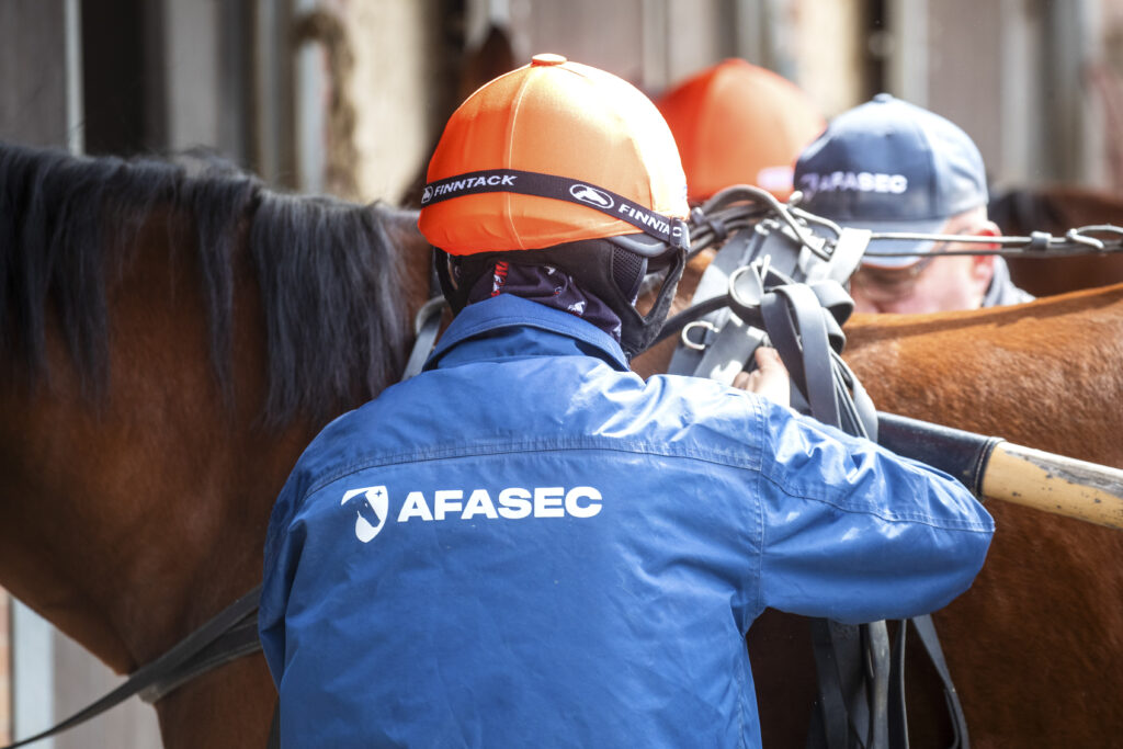 élève AFASEC écurie d'application Cheval