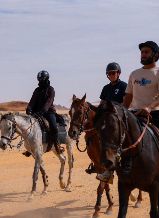 ALULA International AFASEC