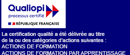 Logo qualiopi