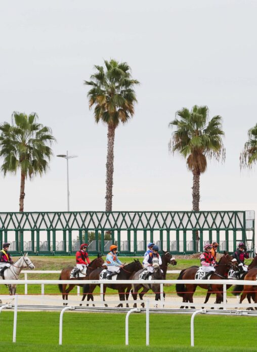 AFASEC PROVINCE COURSE HIPPODROME