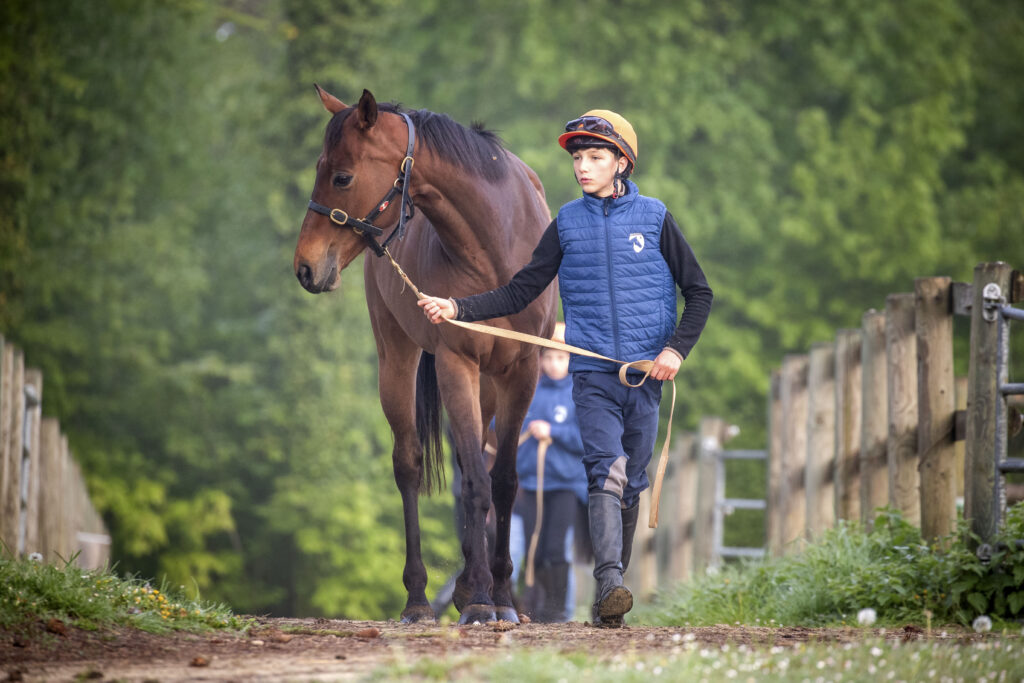 Cheval et apprentis