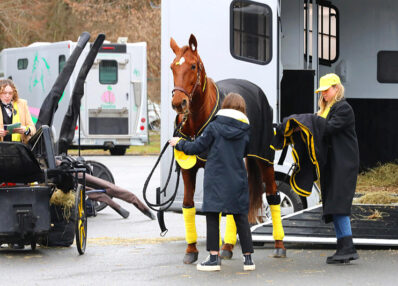 TAV - Transport d'Animaux Vivants