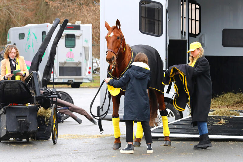 TAV - Transport d'Animaux Vivants