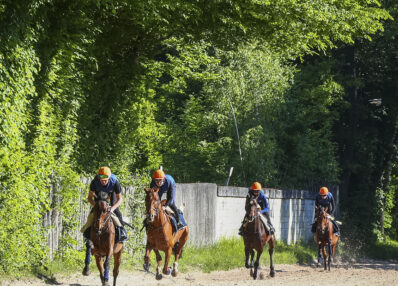 Cavalier d'entraînement