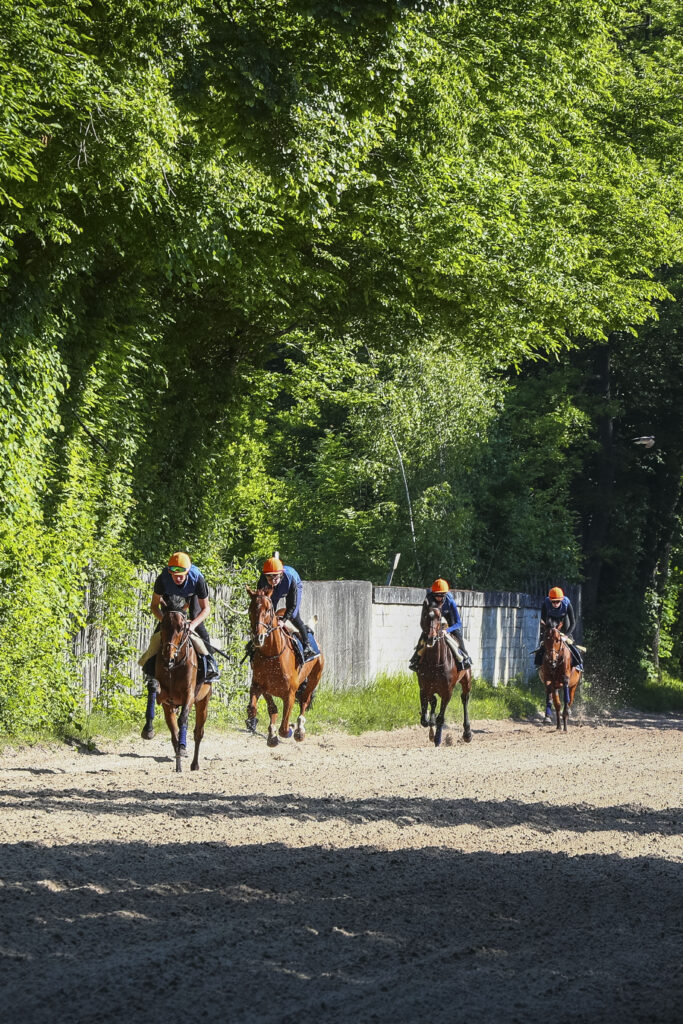 Cavalier d'entraînement