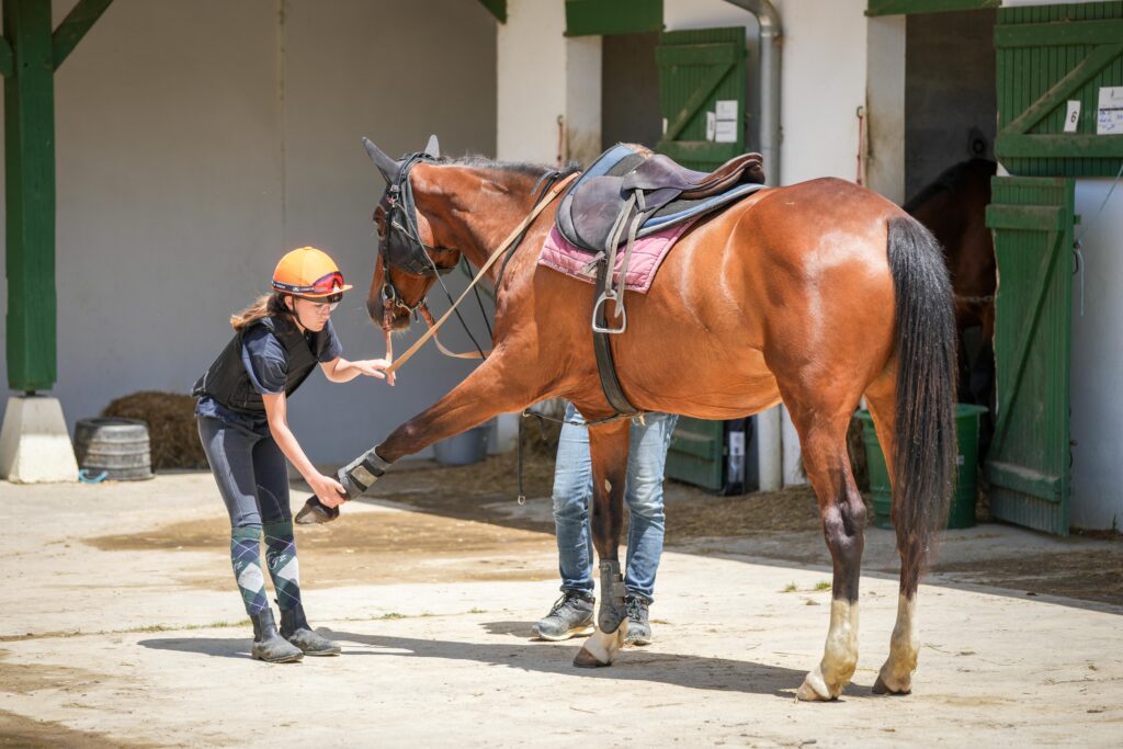 élève AFASEC qui étire un cheval