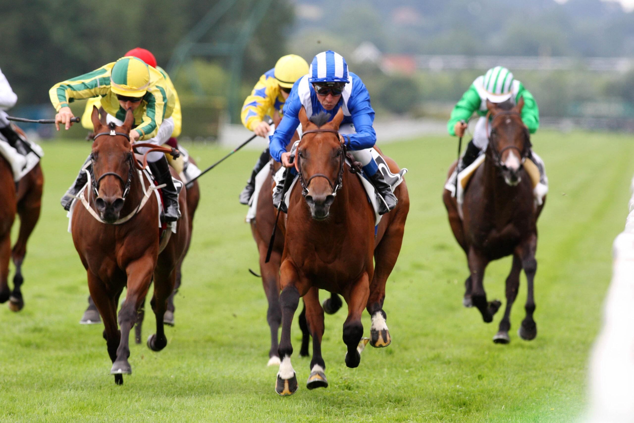 course galop