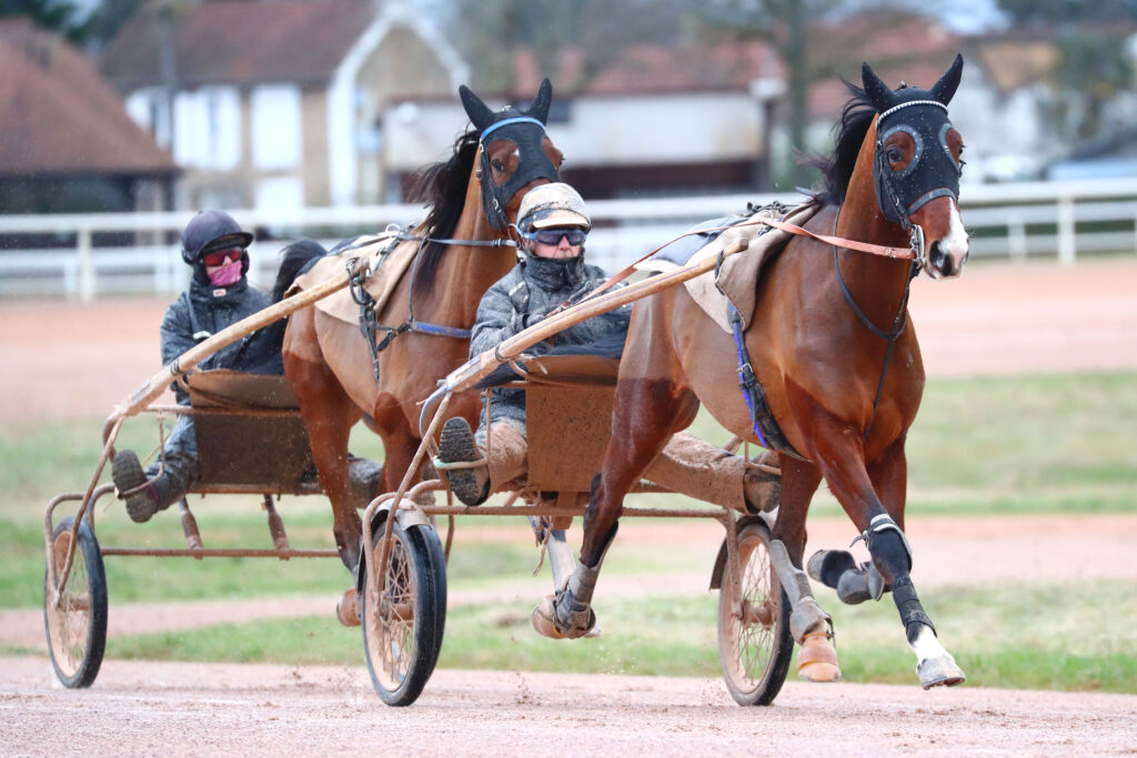 Lad Cavalier d'Entrainement