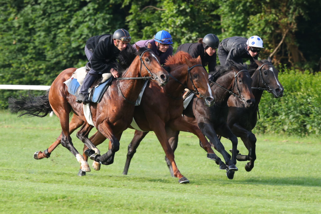 Cavalier d'entraînement galop