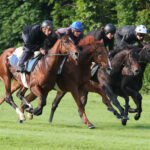 Cavalier d'entraînement galop