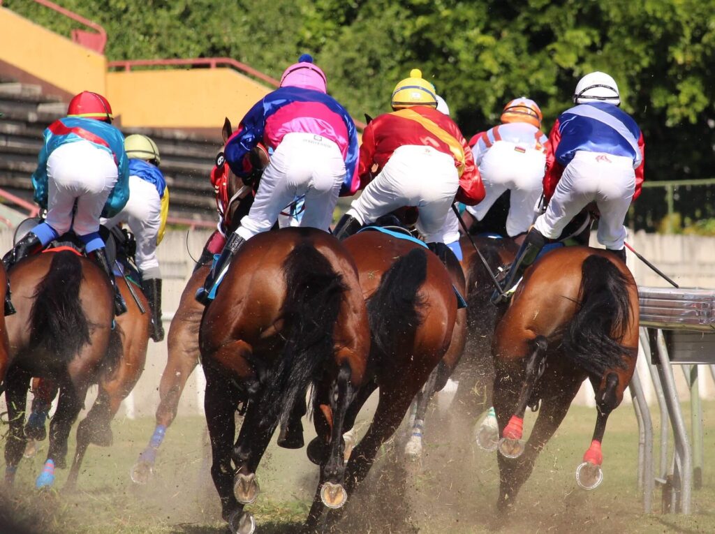 course galop
