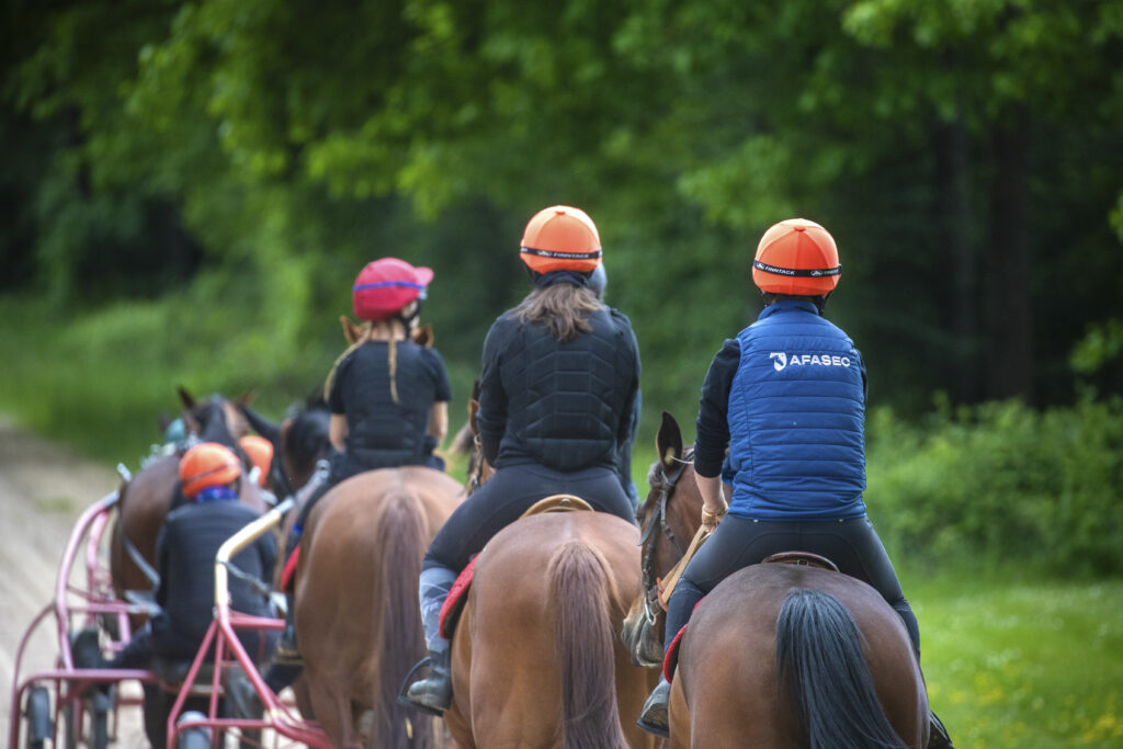 Trot monté et attelé