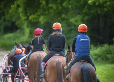 Trot monté et attelé