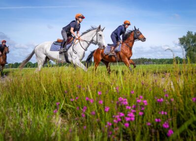 cavalier d'entrainement galop