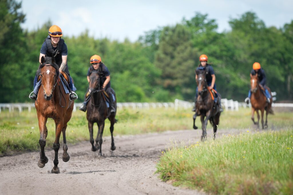 cavalier d'entrainement galop