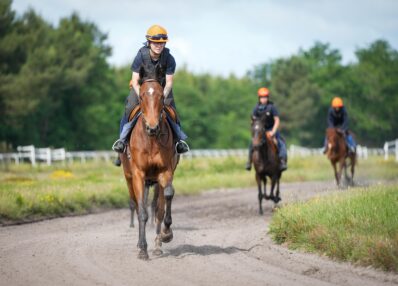 cavalier d'entrainement galop