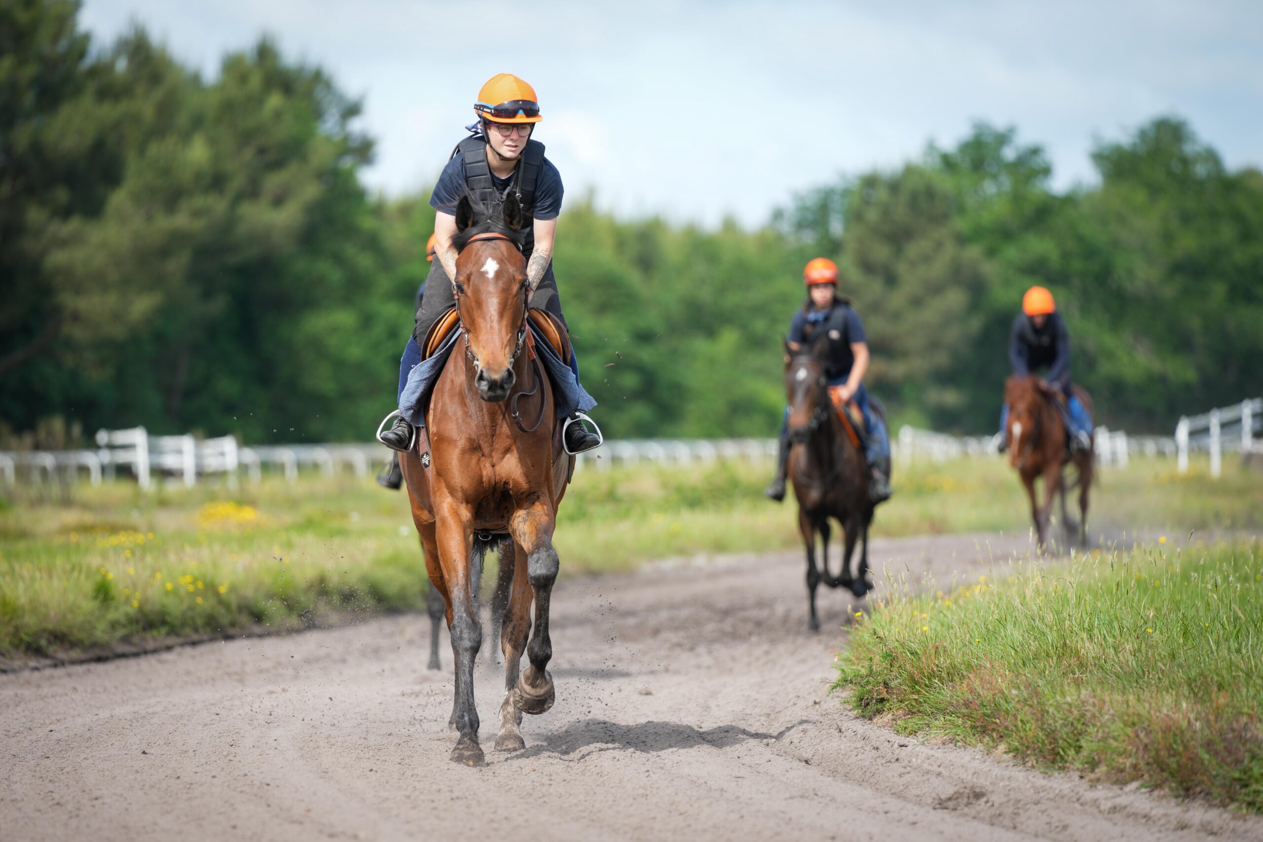 cavalier d'entrainement galop