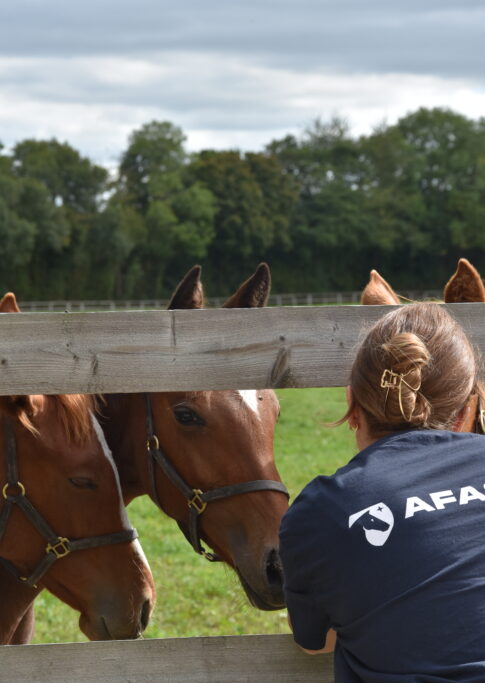 Assistant d'élevage