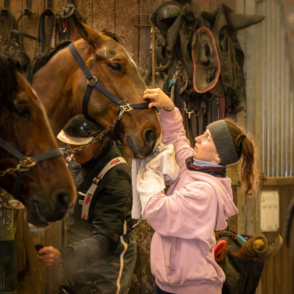 Recrutement international personnel pour écurie