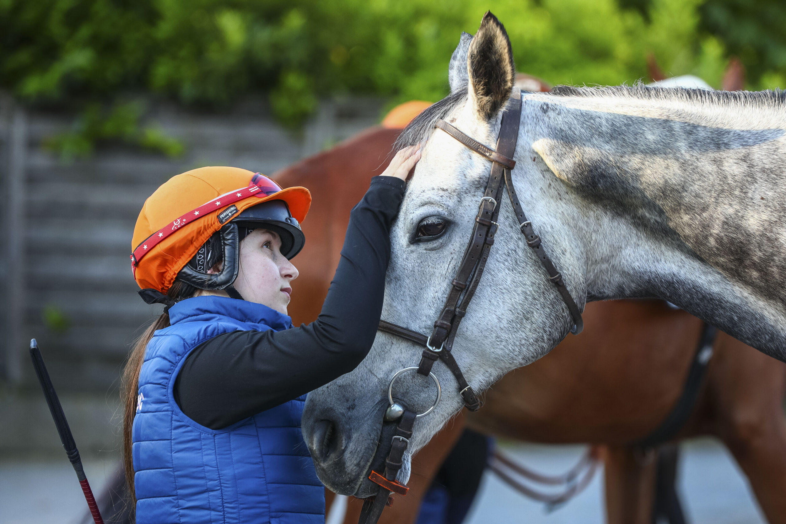Cheval et cavalier de débourrage