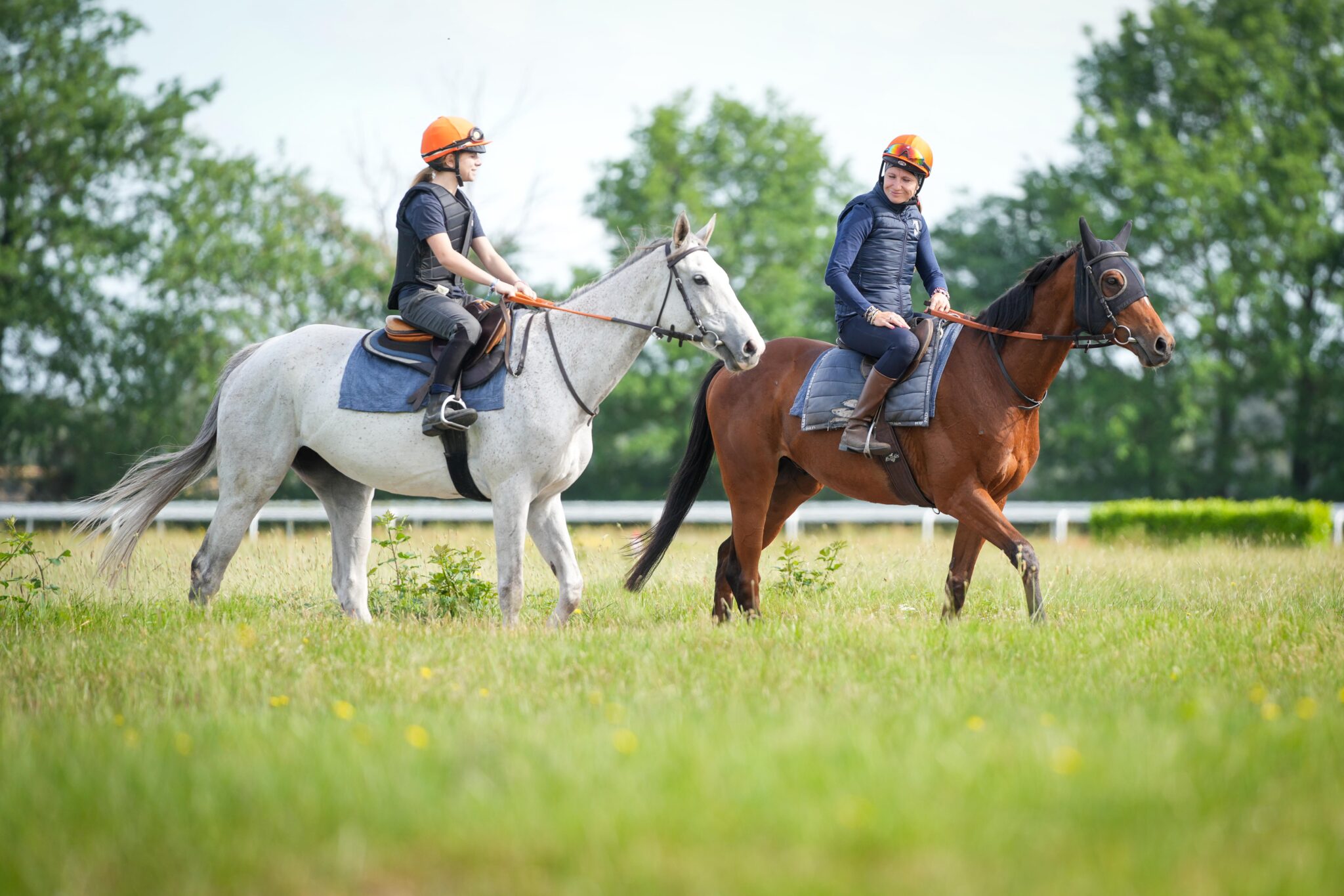 Entraîneur de chevaux de course formation