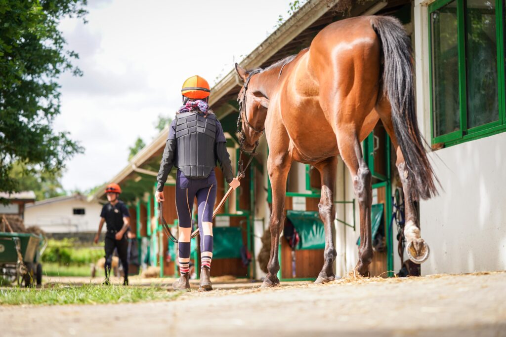 Cavalier et son cheval à l'écurie