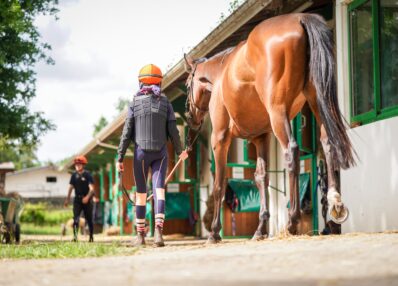Cavalier et son cheval à l'écurie