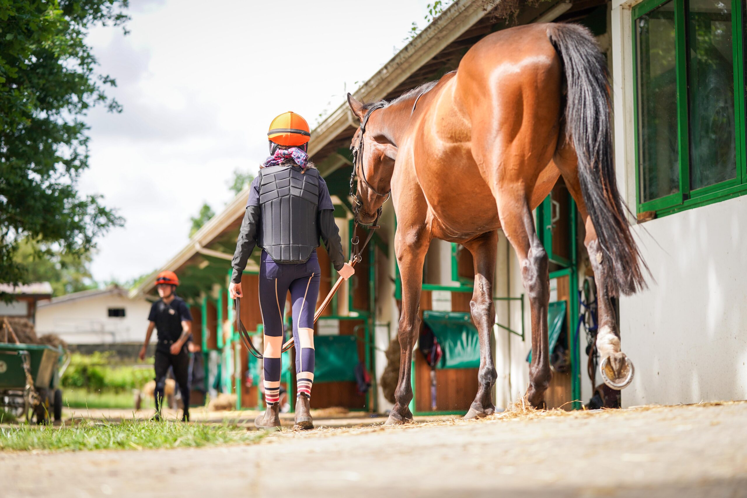 Cavalier et son cheval à l'écurie