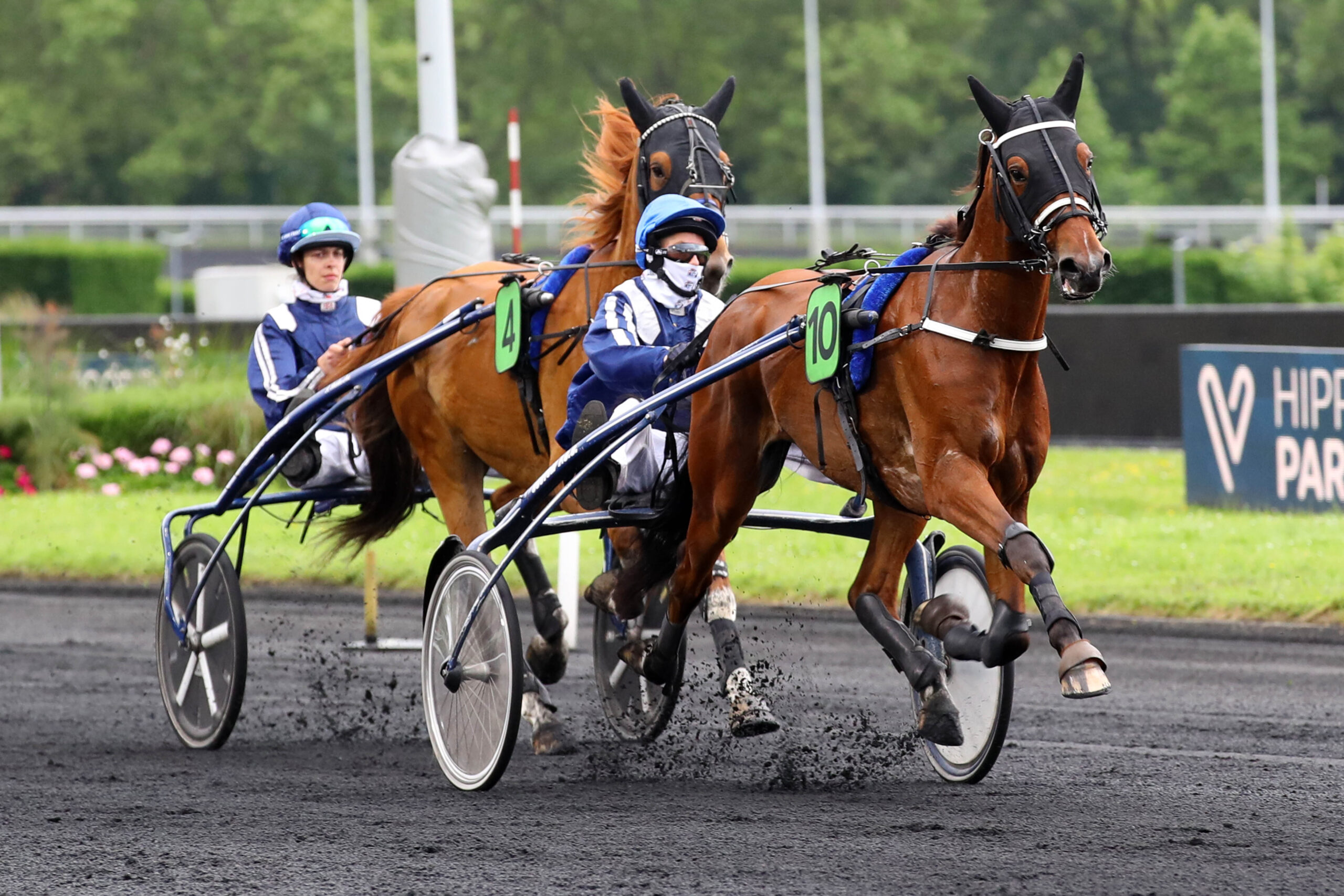 Course de trot attelé