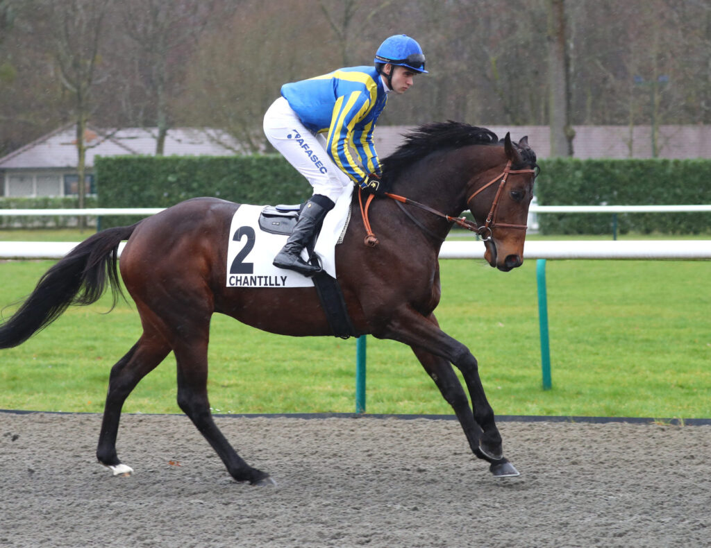 Equipement jockey galop