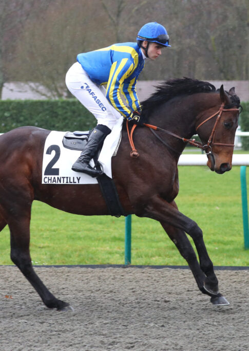 Equipement jockey galop