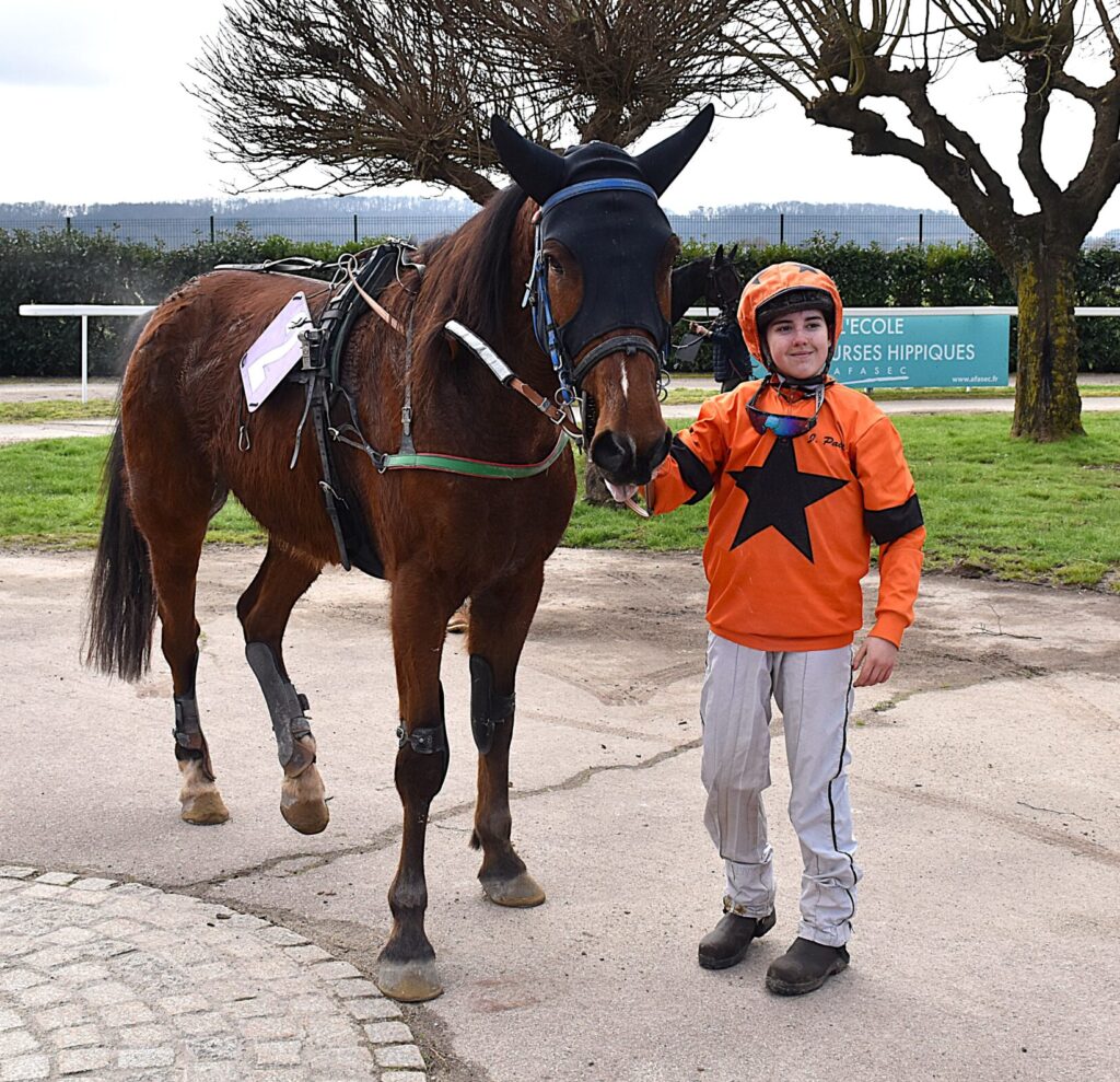 Equipement trot attelé