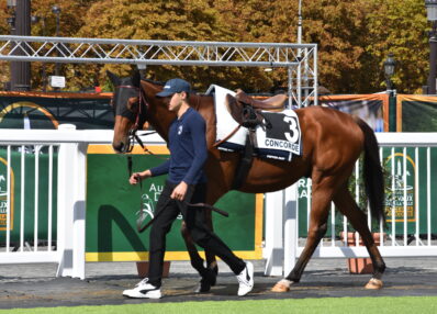 Rond de présentation course hippique