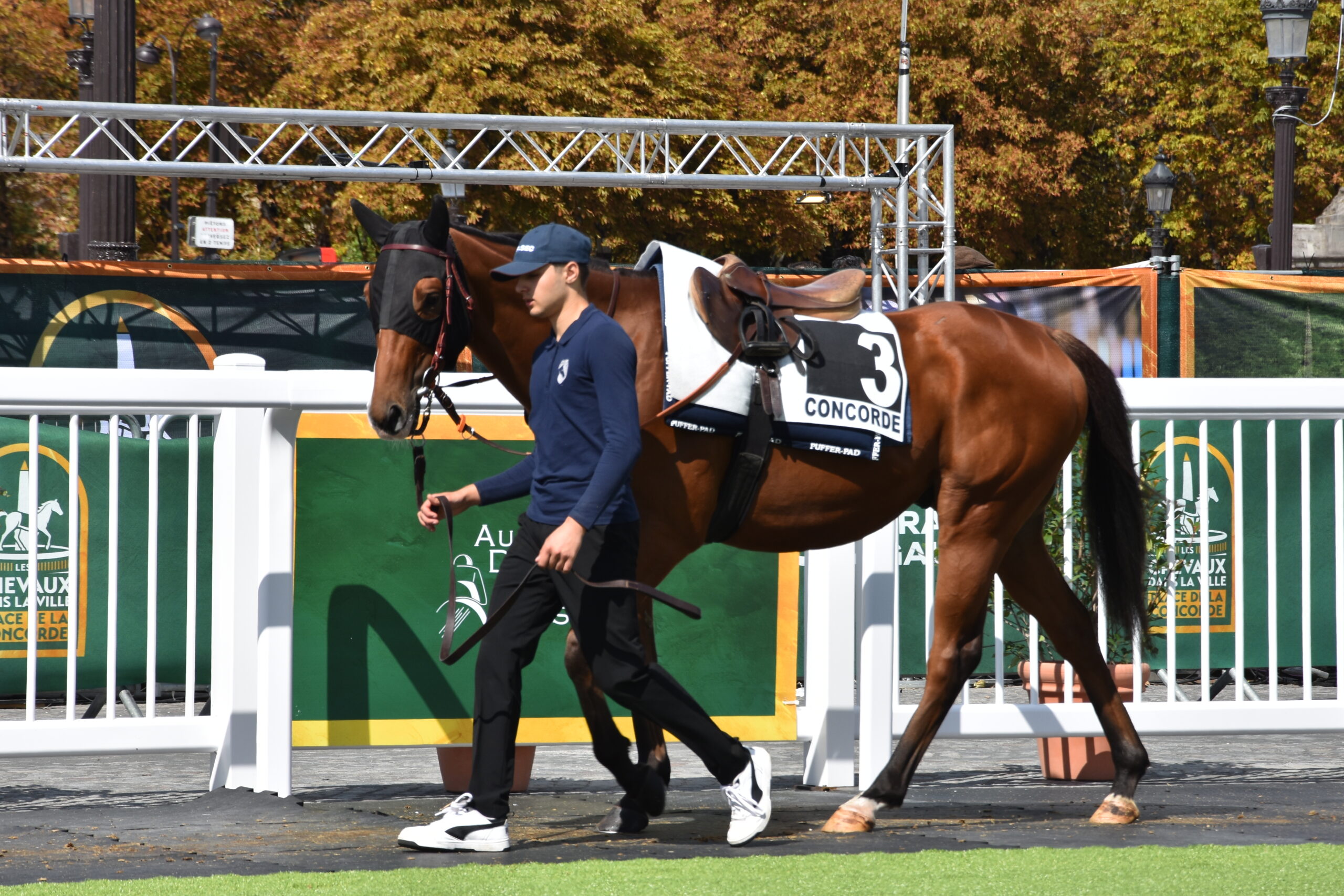 Rond de présentation course hippique