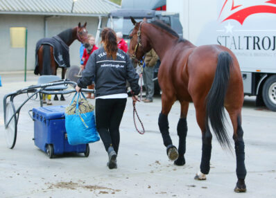 Responsable de voyage