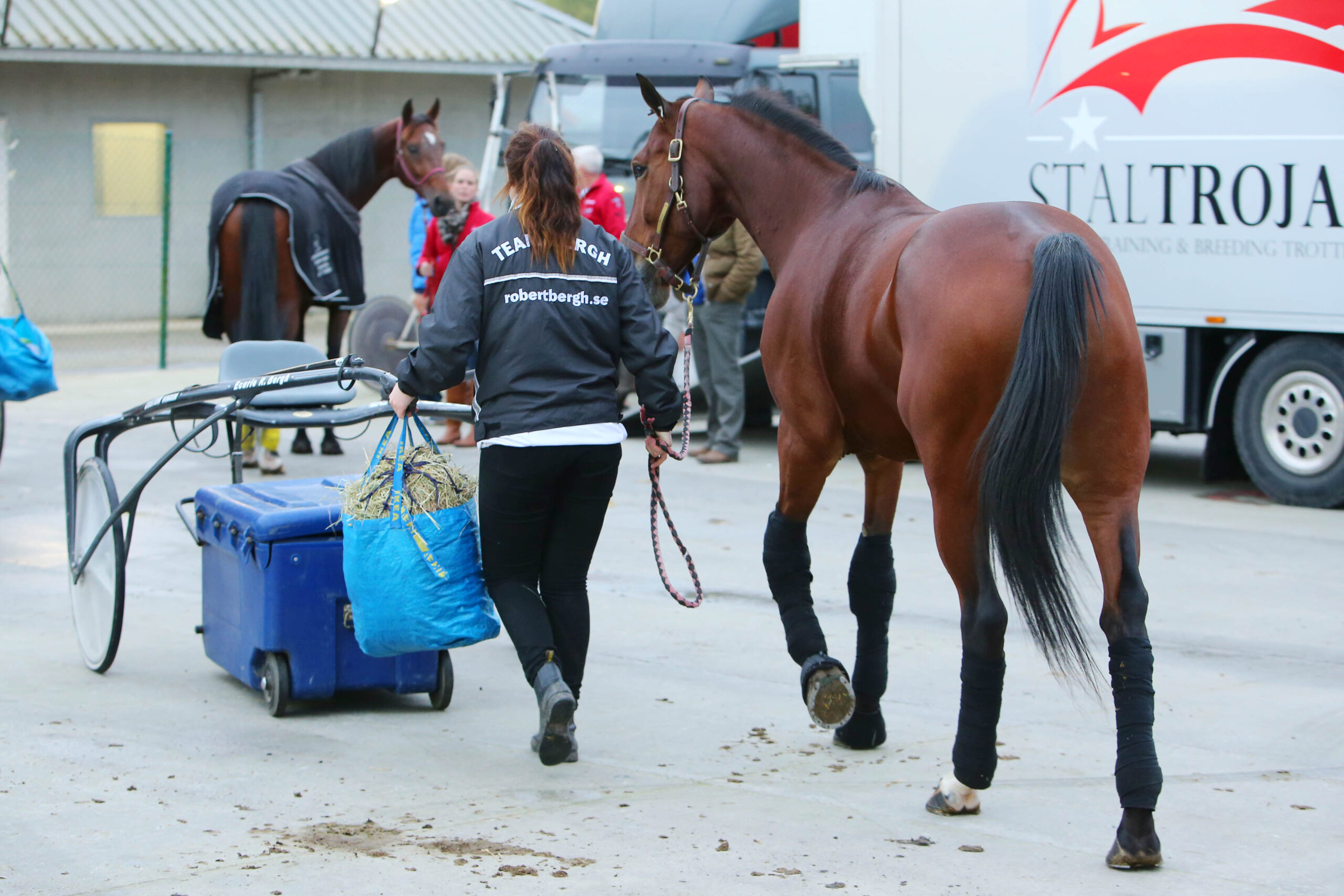 Responsable de voyage