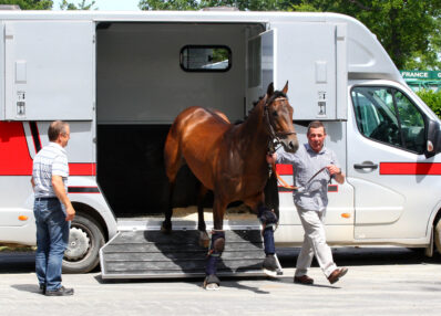 TAV et cheval dans le vanne